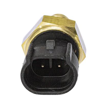 Sensor Temperatura Stralis 450S42 200S42 570S42 Eurotech 450E31 19E31 2 Vias - 500386057  