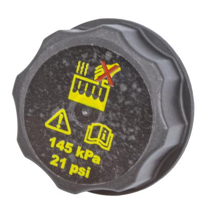 Tampa Reservatório Radiador Ecosport Focus Fusion New Fiesta Ka Ranger Transit Após 2015 - TanClick - TC6551