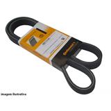 Correia do alternador Partner Laguna Megane - CONTINENTAL - 6PK1660