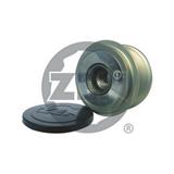 Polia Alternador Roda Livre Boxer /Ducato /Jumper /Transit - ZEN  