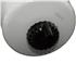 Thumb Image 1