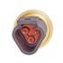 Thumb Image 1