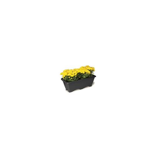 *VASO PLST RETAN (46,5CM*21CM*16CM) FLOREIRA RAINH