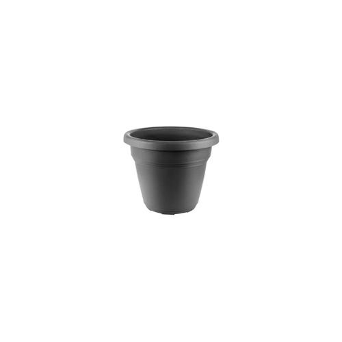 *VASO PLST VICENZA 13 PR DESLI