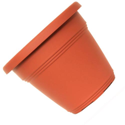 *VASO PLST VICENZA 15 MAR DESLI