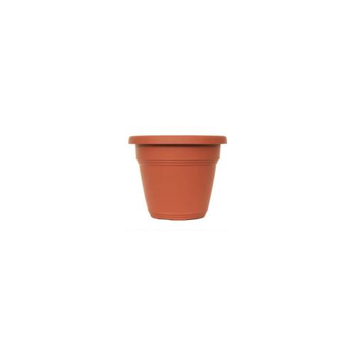 *VASO PLST VICENZA 23 MAR DESLI